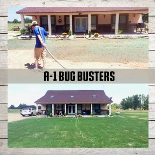 A-1 Bug Busters LLC in Paris, TX — business photo 3