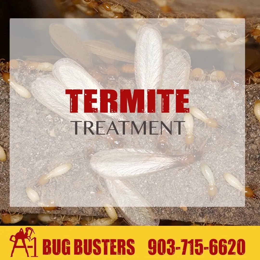 A-1 Bug Busters LLC in Paris, TX — business photo 6
