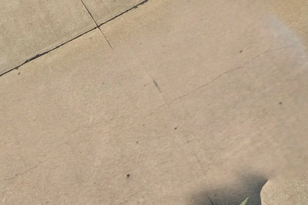 Arrow Exterminators in Dallas, TX — business photo 6