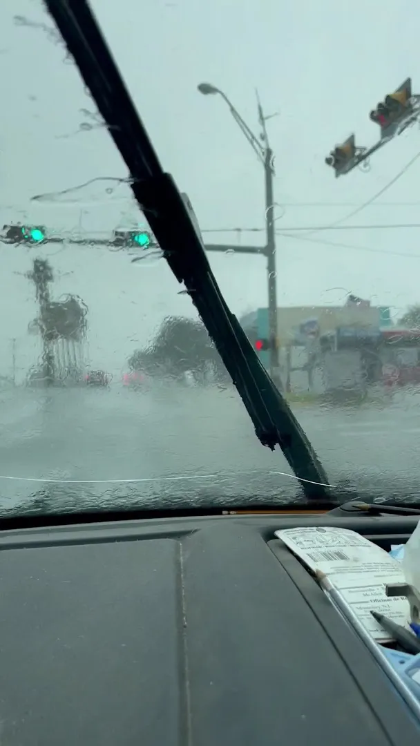 Asash Termite & Pest Control Co., Inc. in Laredo, TX — business photo 6