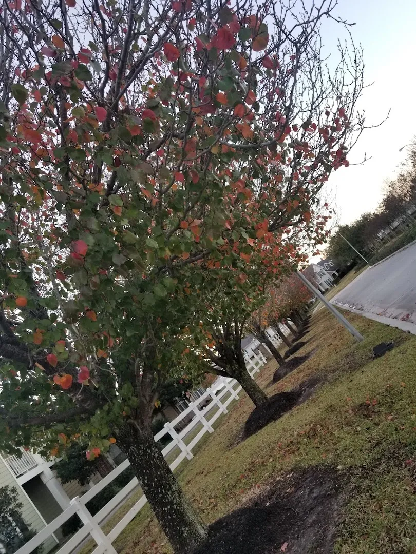 Assurance Pest Control, Inc. in Houston, TX — business photo 4