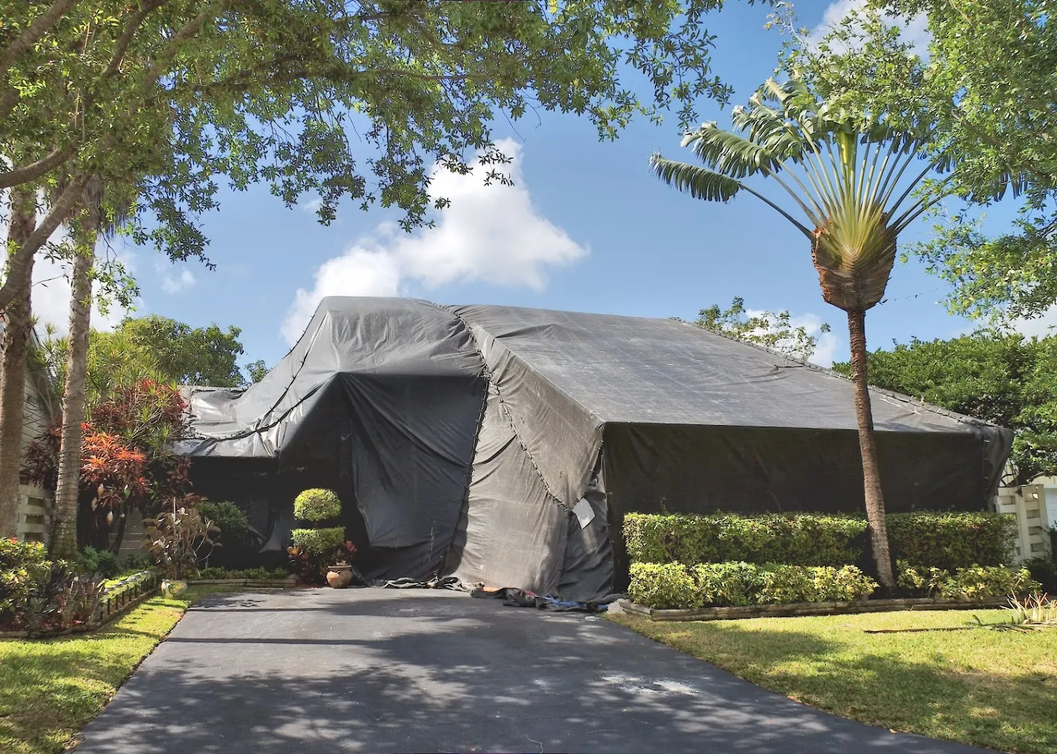 Assurance Pest Control, Inc. in Houston, TX — business photo 5