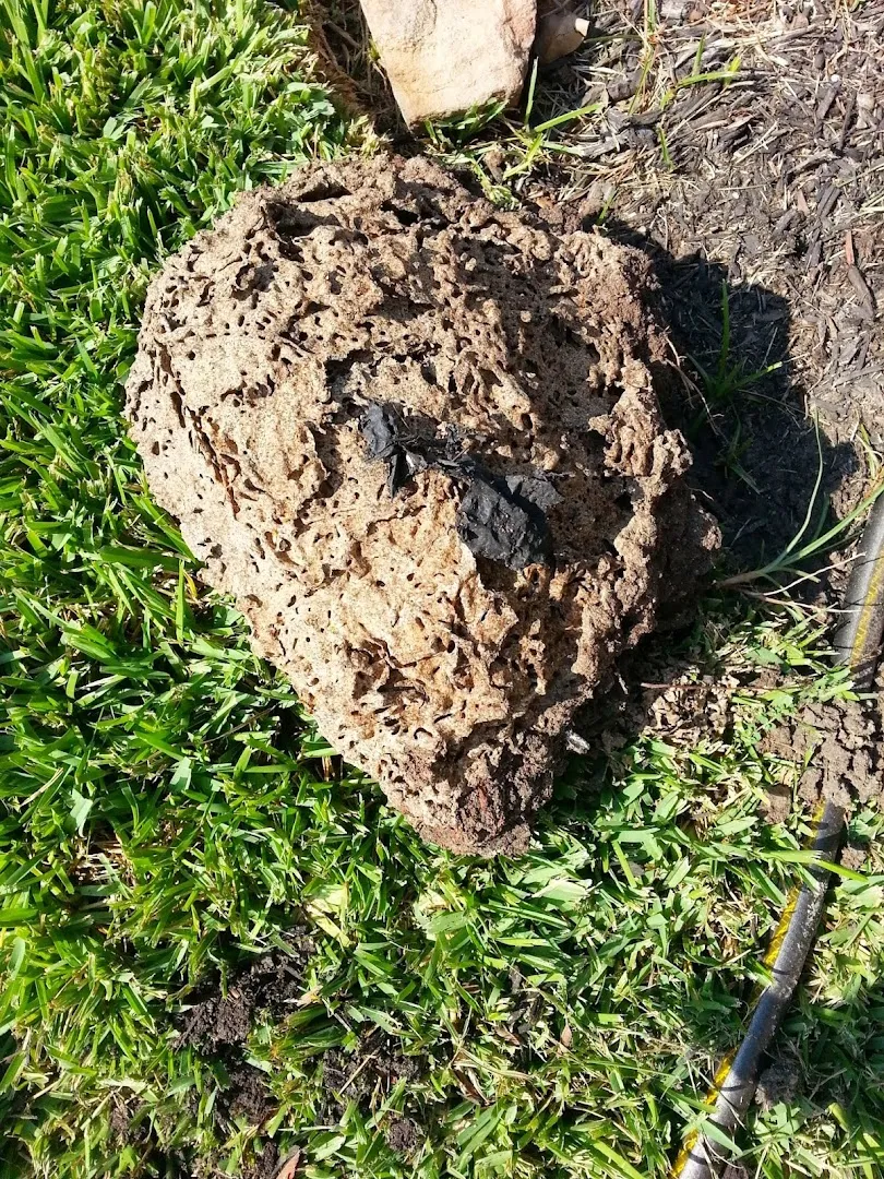 Atascocita Pest Control in Beaumont, TX — business photo 5