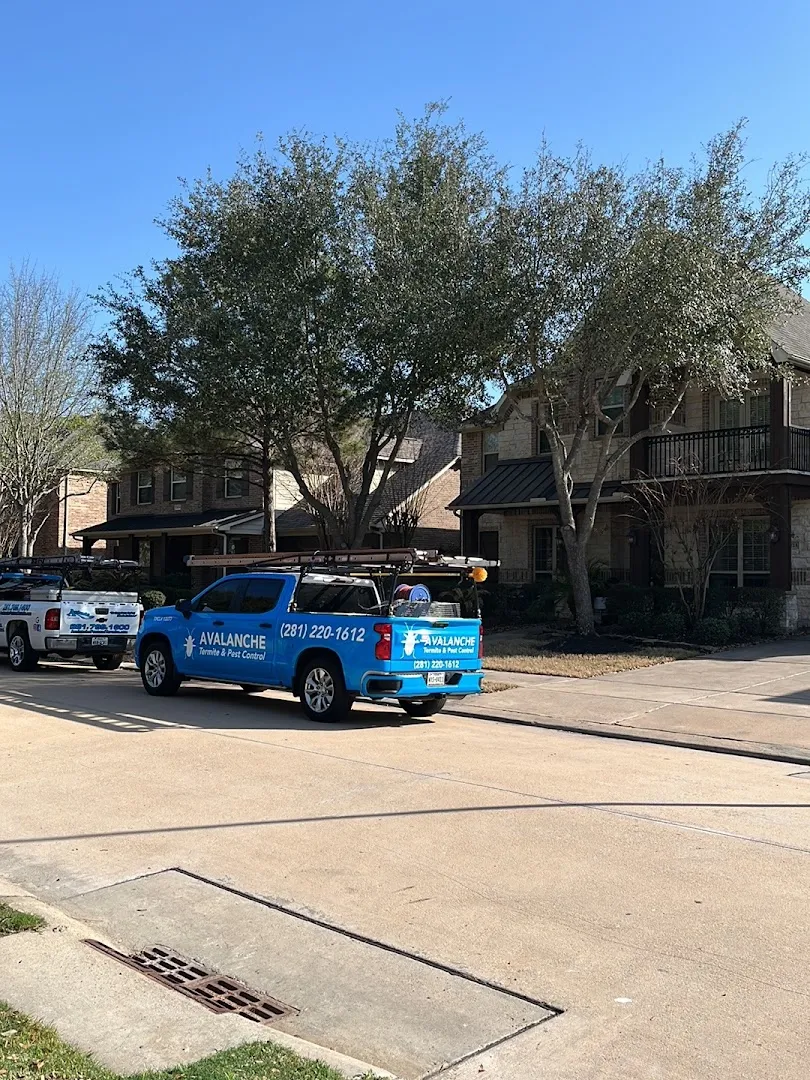 Avalanche Termite & Pest Control Katy in Houston, TX — business photo 3