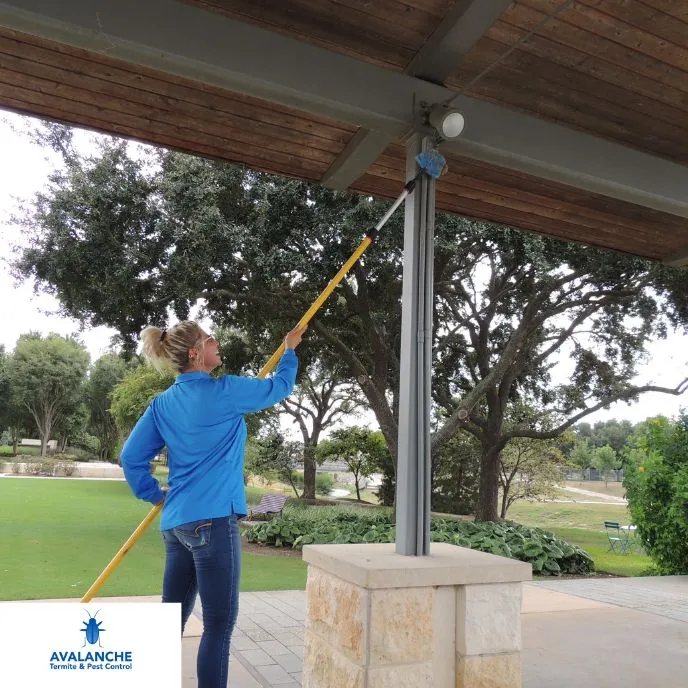 Avalanche Termite & Pest Control Katy in Houston, TX — business photo 5