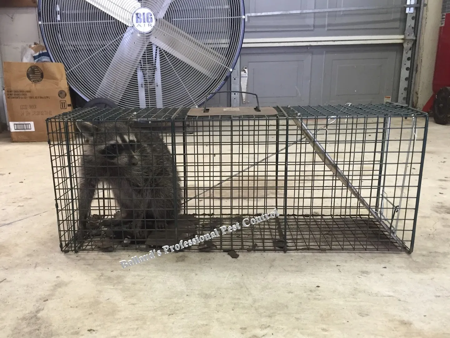 Ballard's Professional Pest Control in Conroe, TX — business photo 3