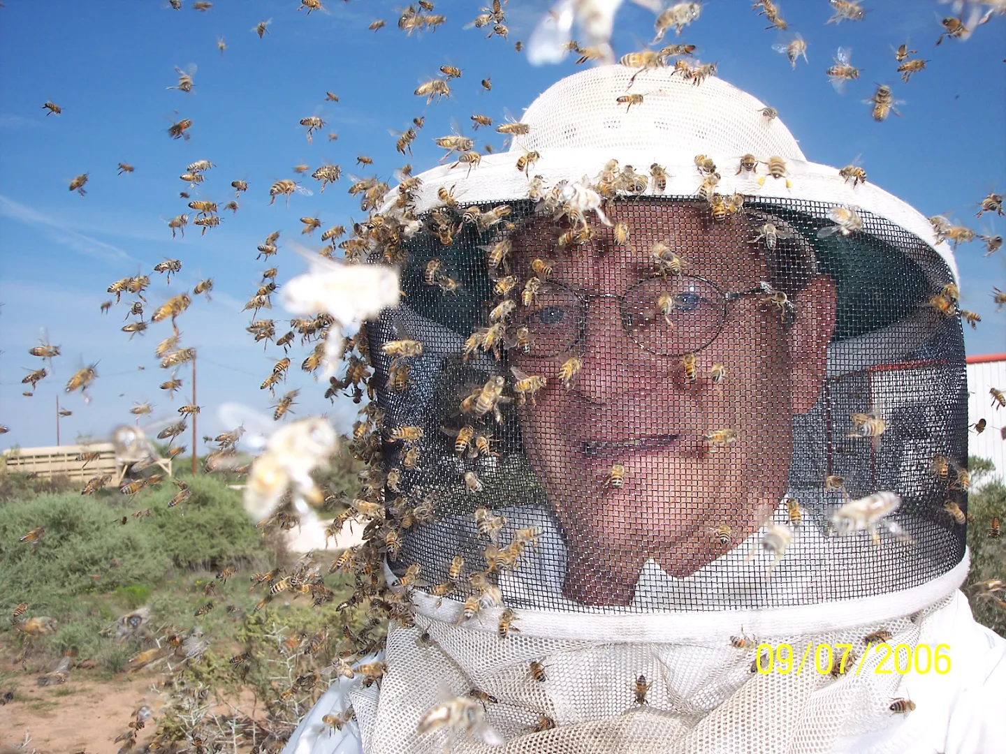 Bee Busters Inc — pest control in Midland, MIDLAND County, TX