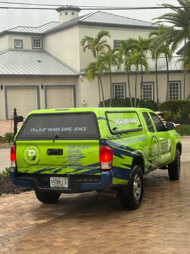 Best Choice Pest Services Inc - Boca Raton Pest Control, Termite Removal, Mosquitoes, Ants, Rodent Control in Corsicana, TX — business photo 2