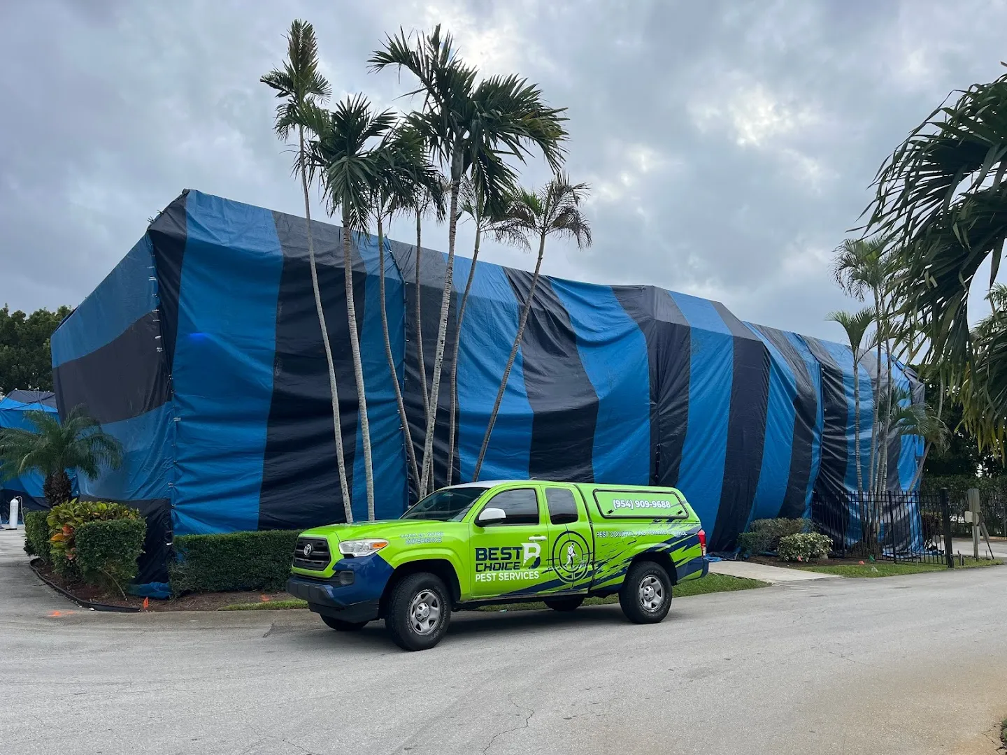 Best Choice Pest Services Inc - Boca Raton Pest Control, Termite Removal, Mosquitoes, Ants, Rodent Control in Corsicana, TX — business photo 3