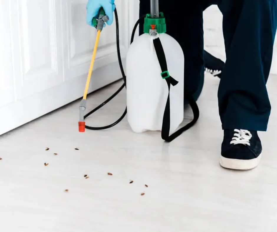 Bevis Pest Control in Houston, TX — business photo 2
