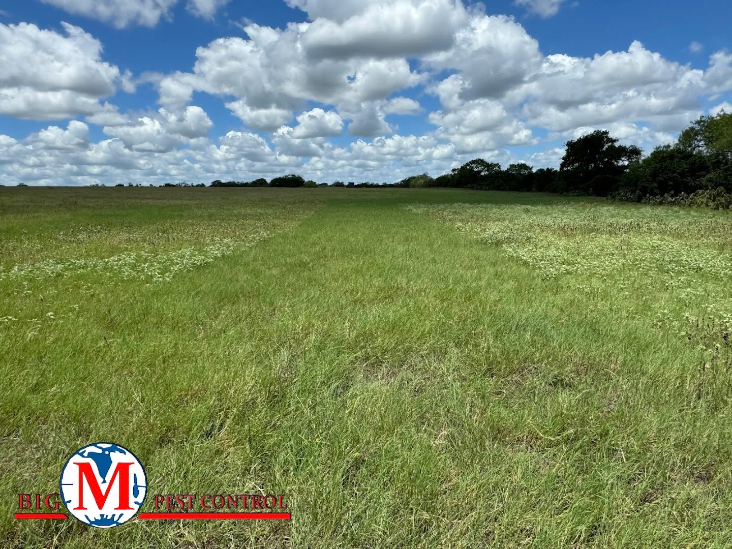 Big M Pest Control in Sinton, TX — business photo 3