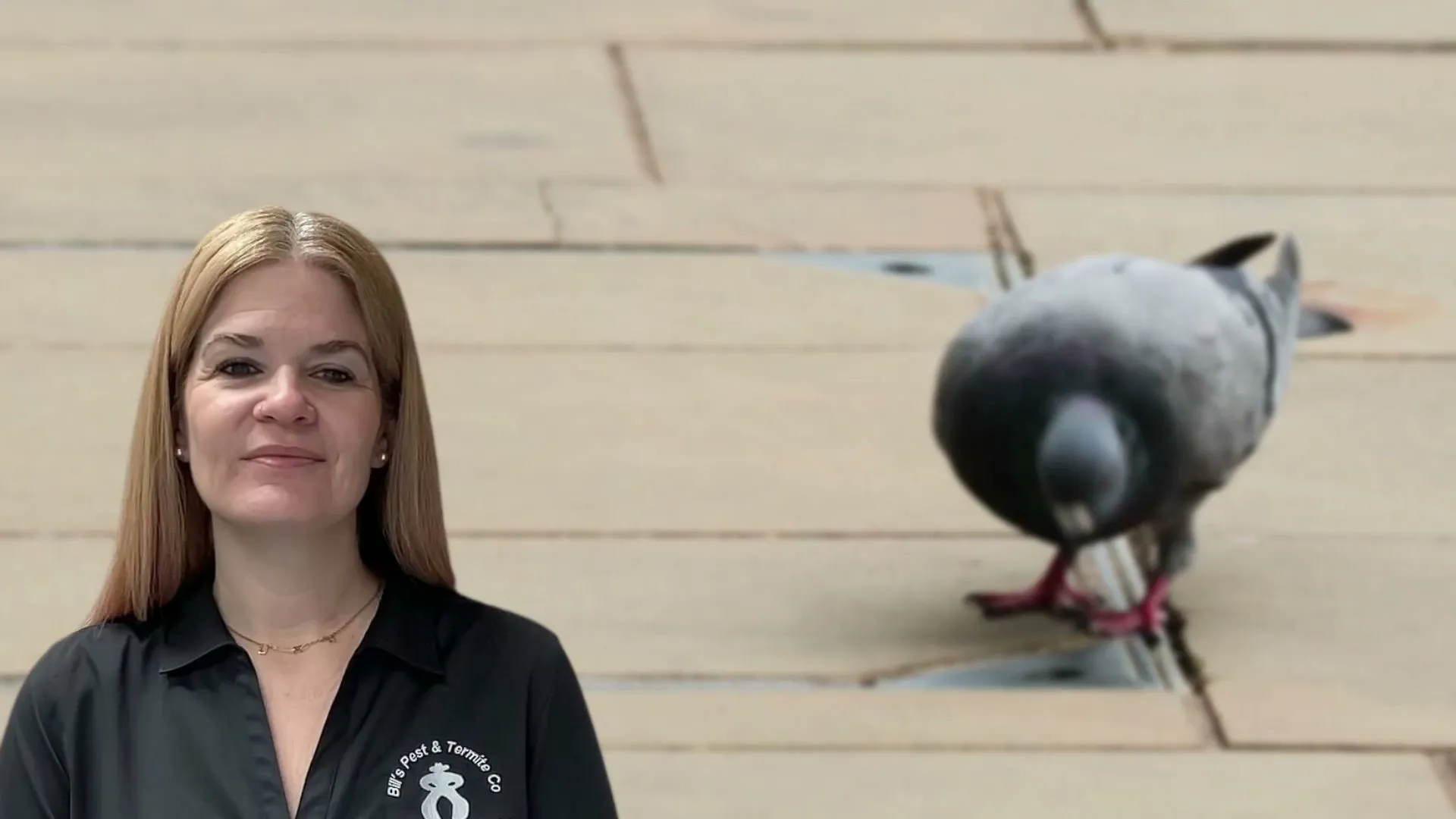 Bills Pest Termite Control in Houston, TX — business photo 3