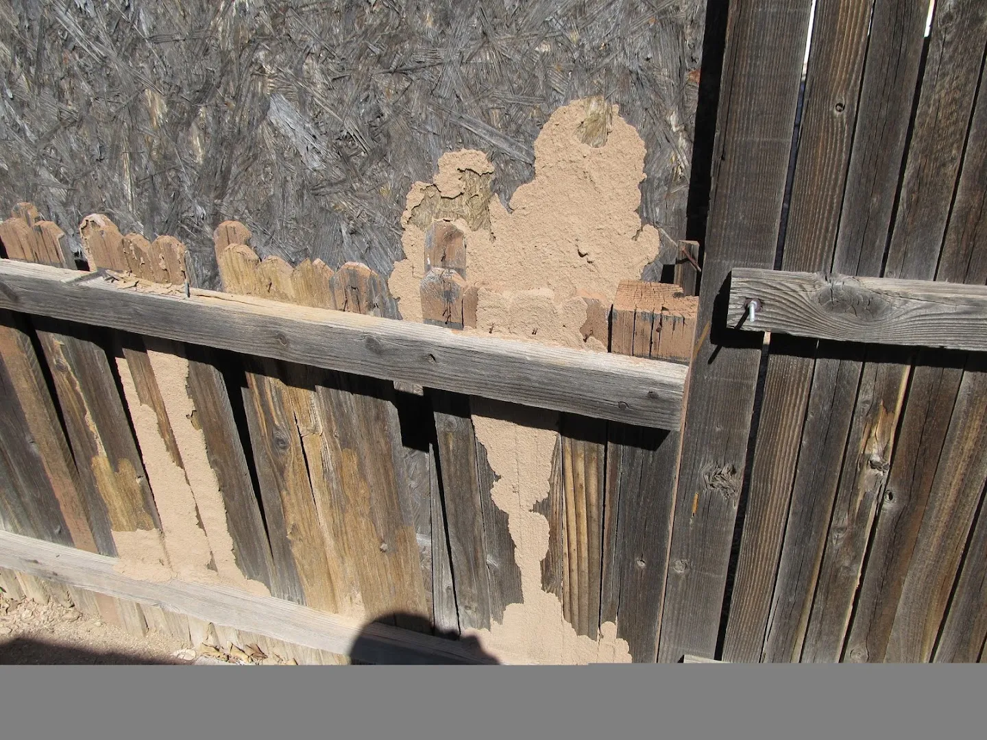 Bills Pest Termite Control in Houston, TX — business photo 4