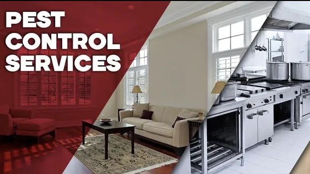 Texas Best Pest & Termite Management — pest control in Richmond, FORT BEND County, TX