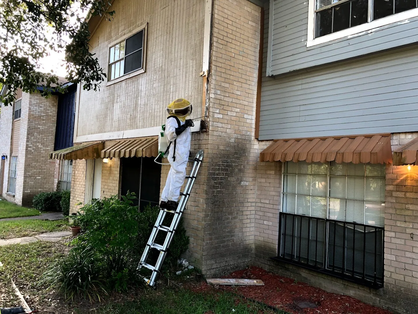 Texas Best Pest & Termite Management in Richmond, TX — business photo 4