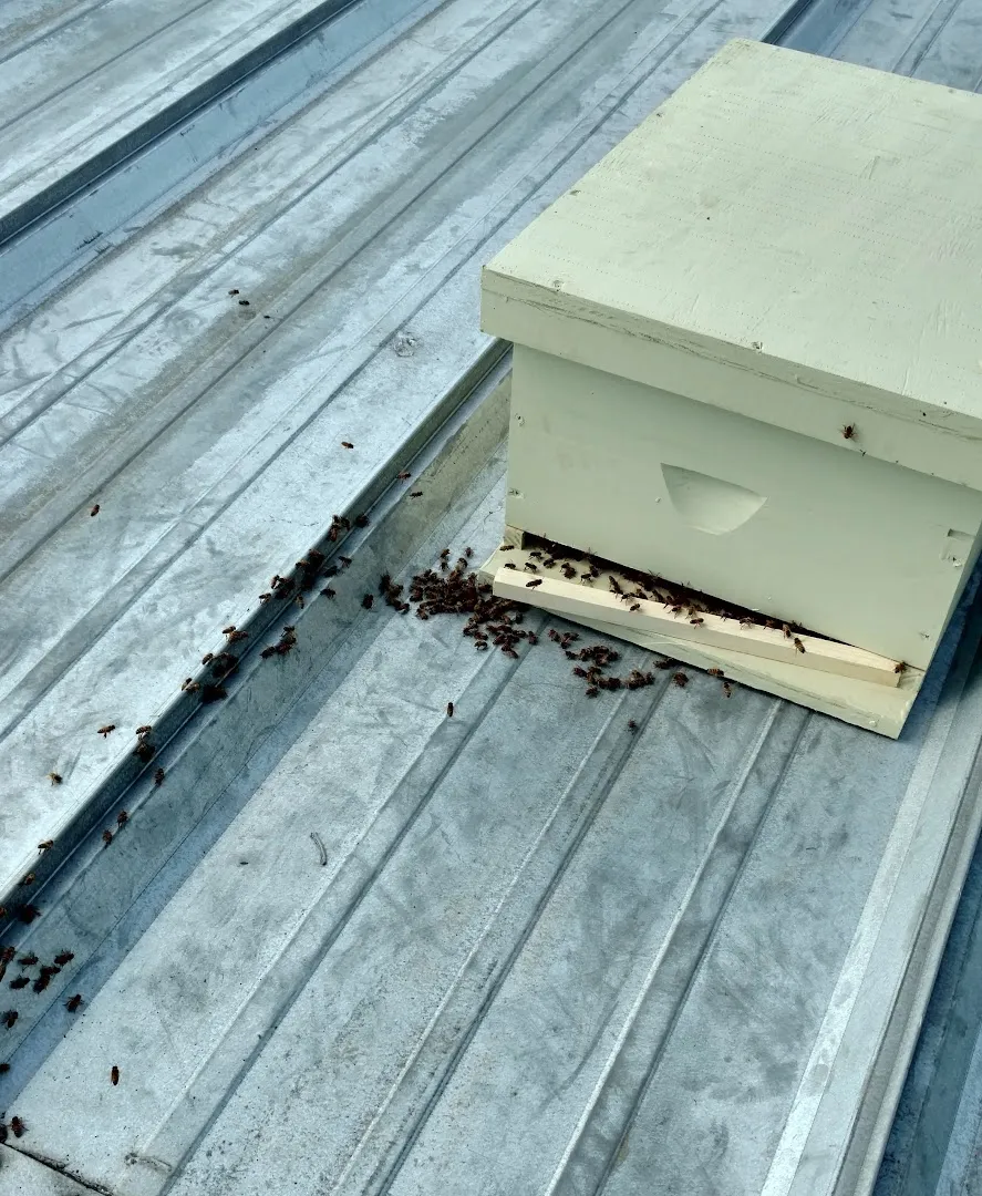 Broken Arrow Pest Control in Livingston, TX — business photo 6