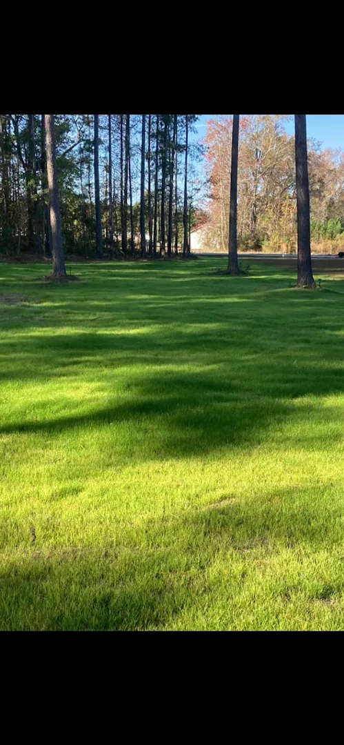 Brothers Lawn and Pest Control LLC in El Paso, TX — business photo 3