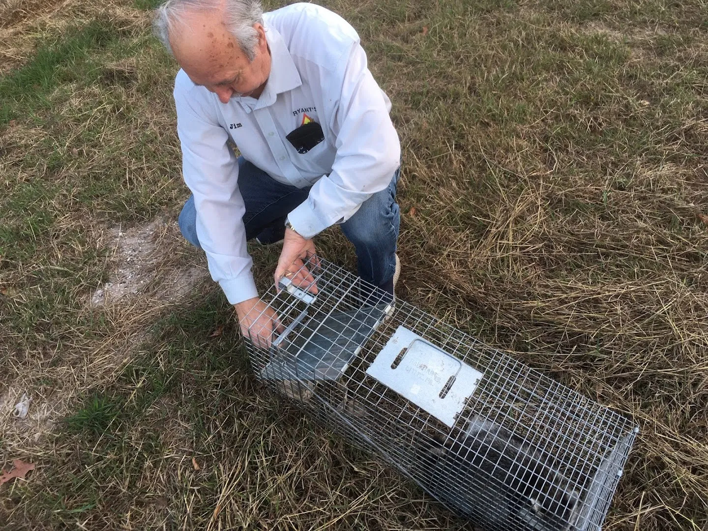 Bryant's Pest Control in Houston, TX — business photo 2