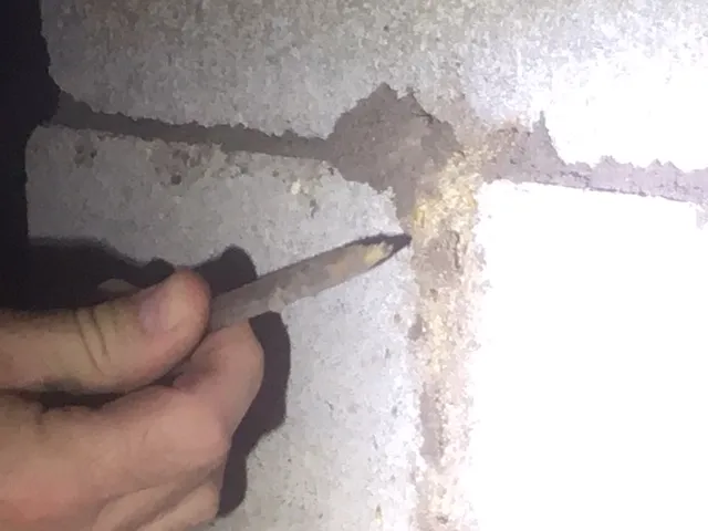 Bryant's Pest Control in Houston, TX — business photo 5