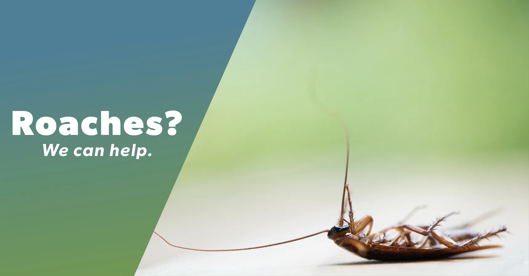 The Bug Master — pest control in Houston, HARRIS County, TX