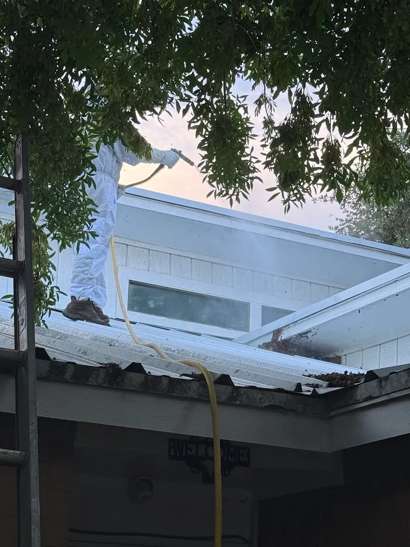 Bug Off Pest Control in Edinburg, TX — business photo 5