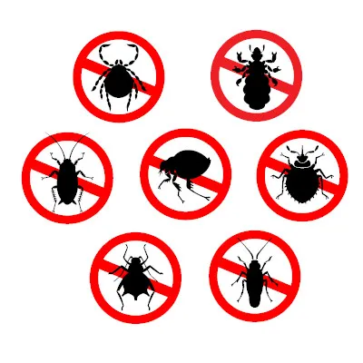 Bug Police LLC in Longview, TX — business photo 5