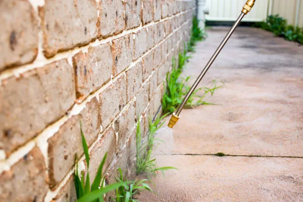 Bug Whisperer Pest and Termite — pest control in Fort Worth, TARRANT County, TX