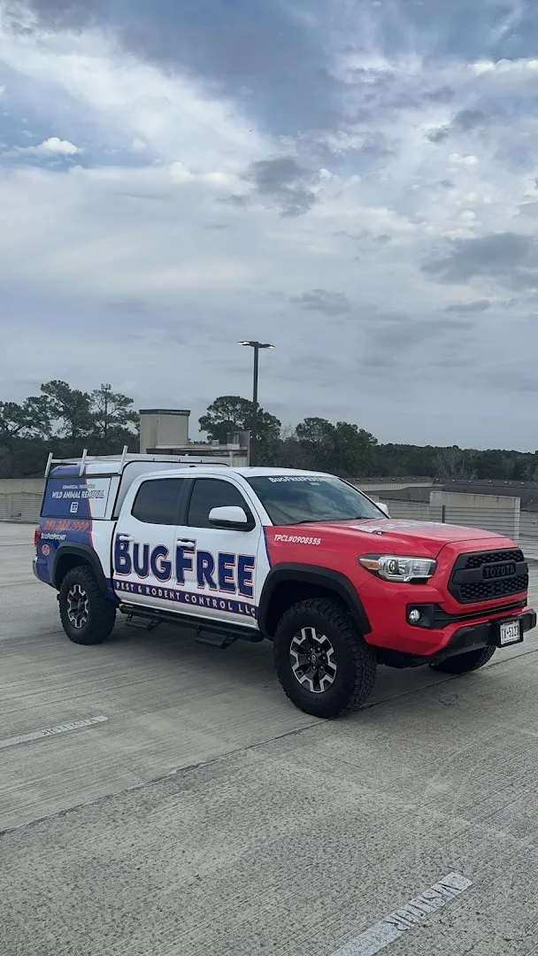 BugFree Pest and Rodent Control LLC in Houston, TX — business photo 2