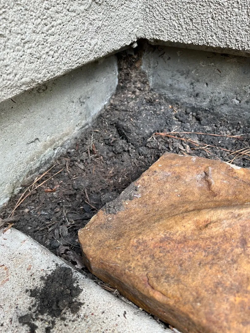 BugFree Pest and Rodent Control LLC in Houston, TX — business photo 4