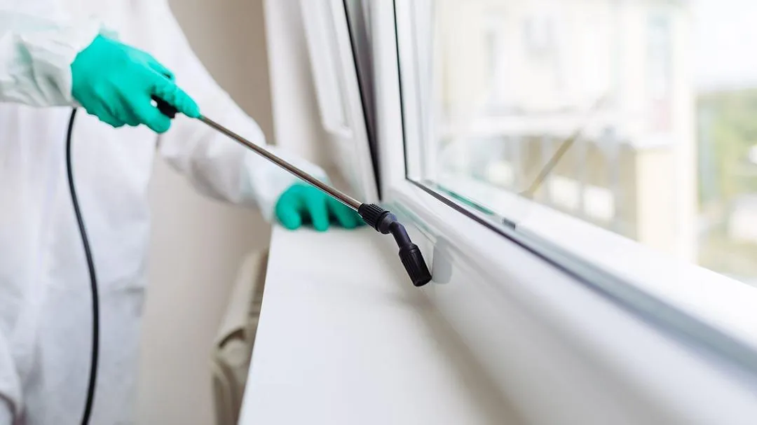 Bugs Burney Pest Control in Amarillo, TX — business photo 2