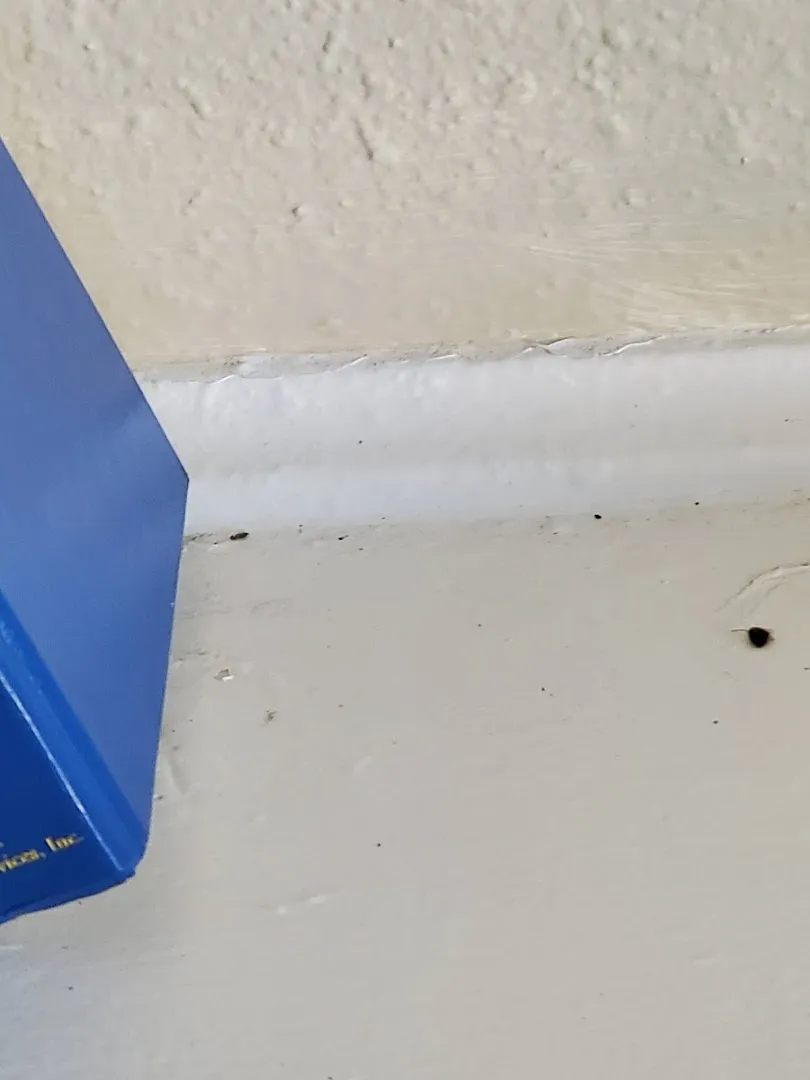 Bugs Burney Pest Control in Amarillo, TX — business photo 4