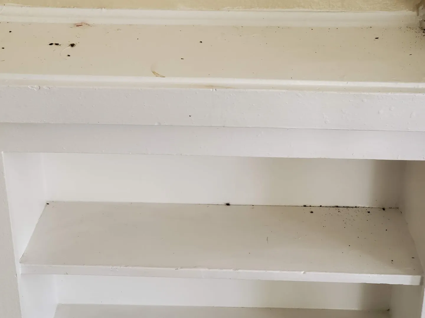 Bugs Burney Pest Control in Amarillo, TX — business photo 6