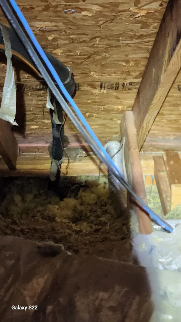 Bugzee Pest Control in Conroe, TX — business photo 6