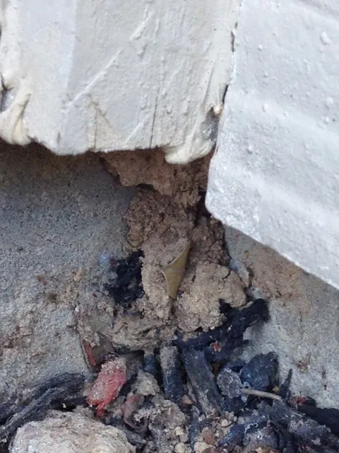 Bulls-Eye Pest & Termite Control, Inc. in Richmond, TX — business photo 4