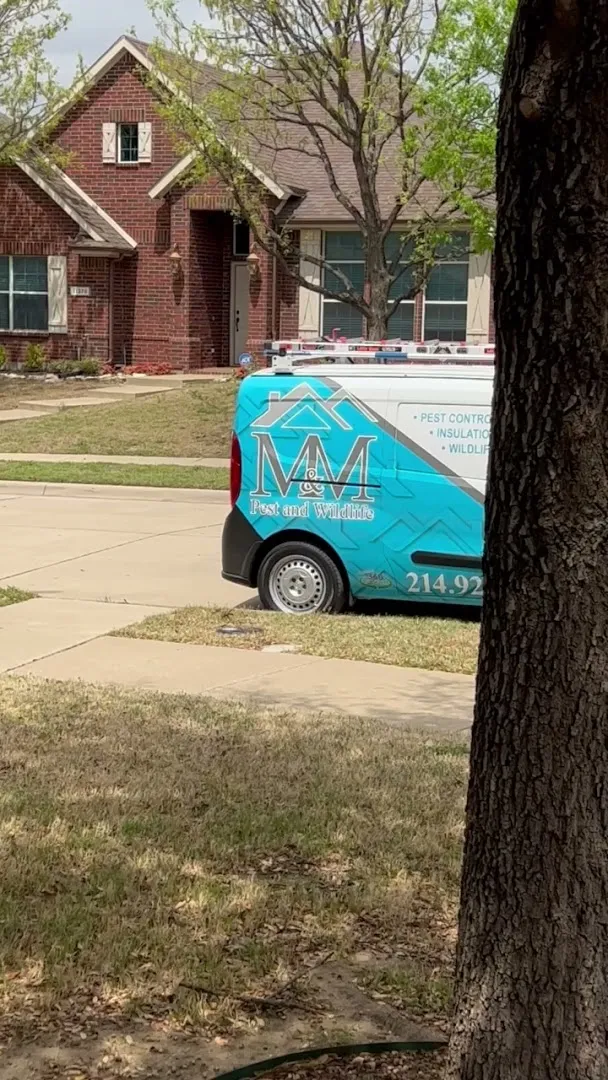 M&M Pest and Wildlife LLC in Dallas, TX — business photo 3