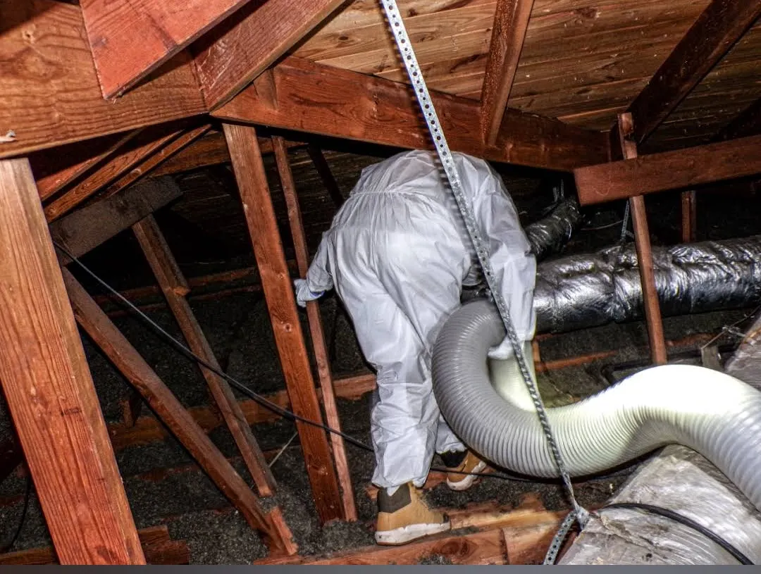 M&M Pest and Wildlife LLC in Dallas, TX — business photo 4