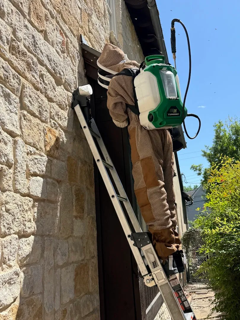 M&M Pest and Wildlife LLC in Dallas, TX — business photo 5