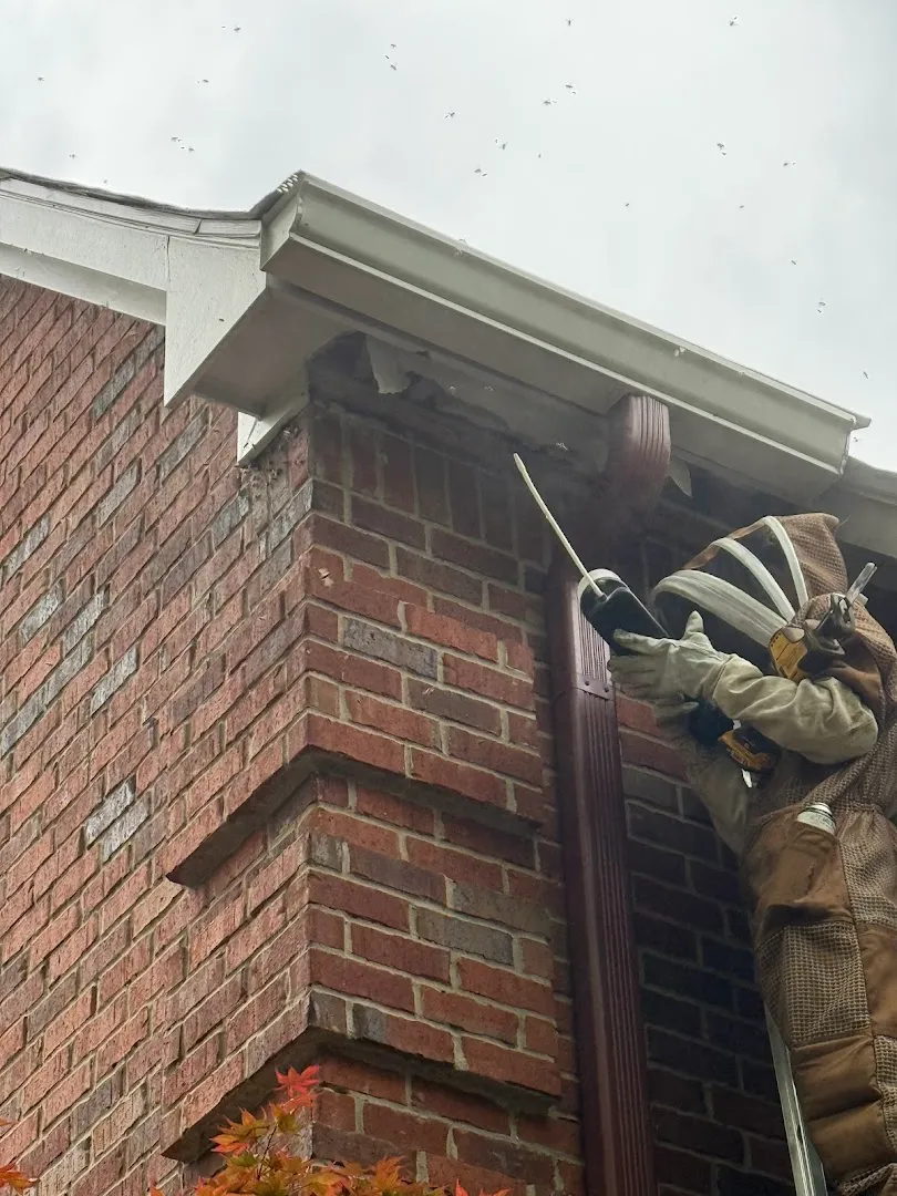 M&M Pest and Wildlife LLC in Dallas, TX — business photo 6