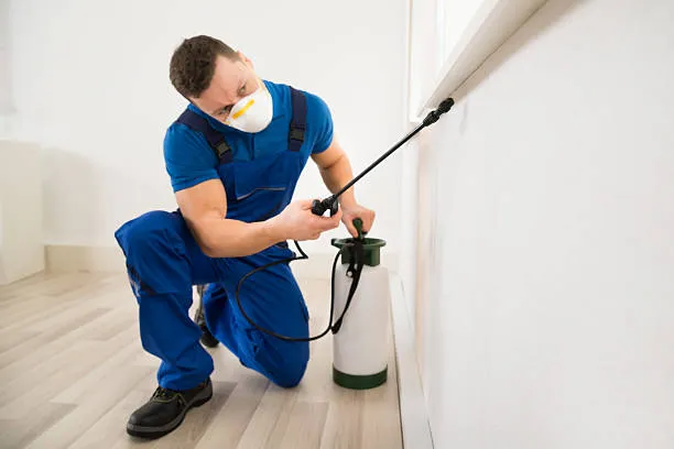 CVA Pest Control in Brownsville, TX — business photo 5