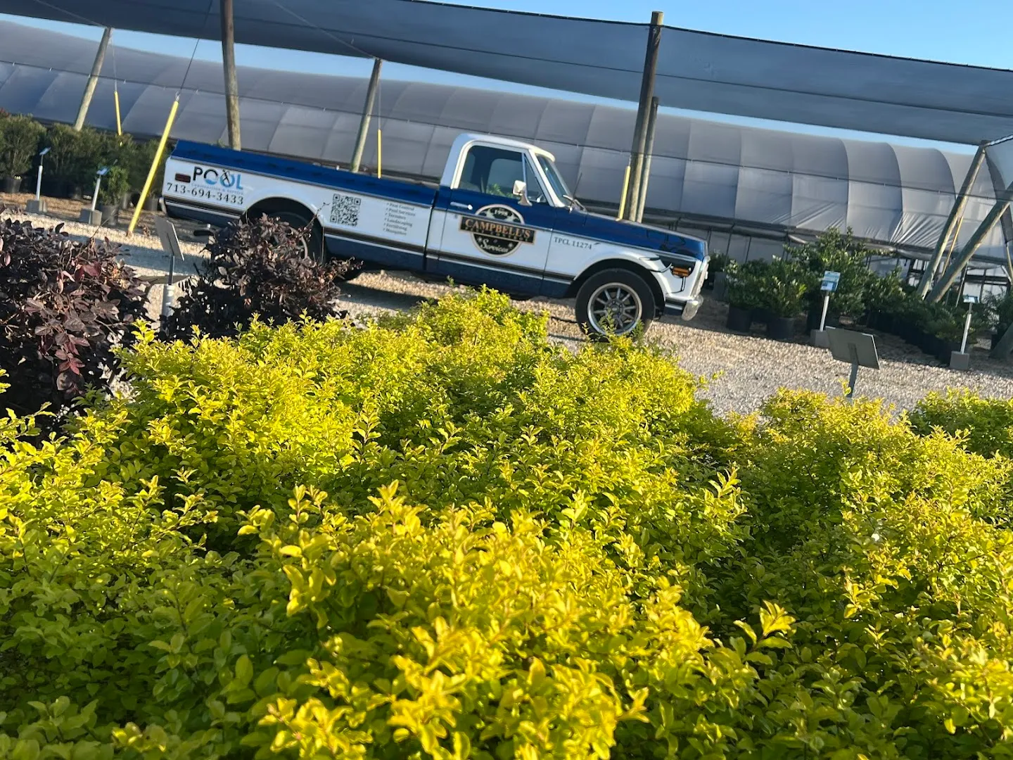 Campbell's Pest Control & Services in Houston, TX — business photo 4