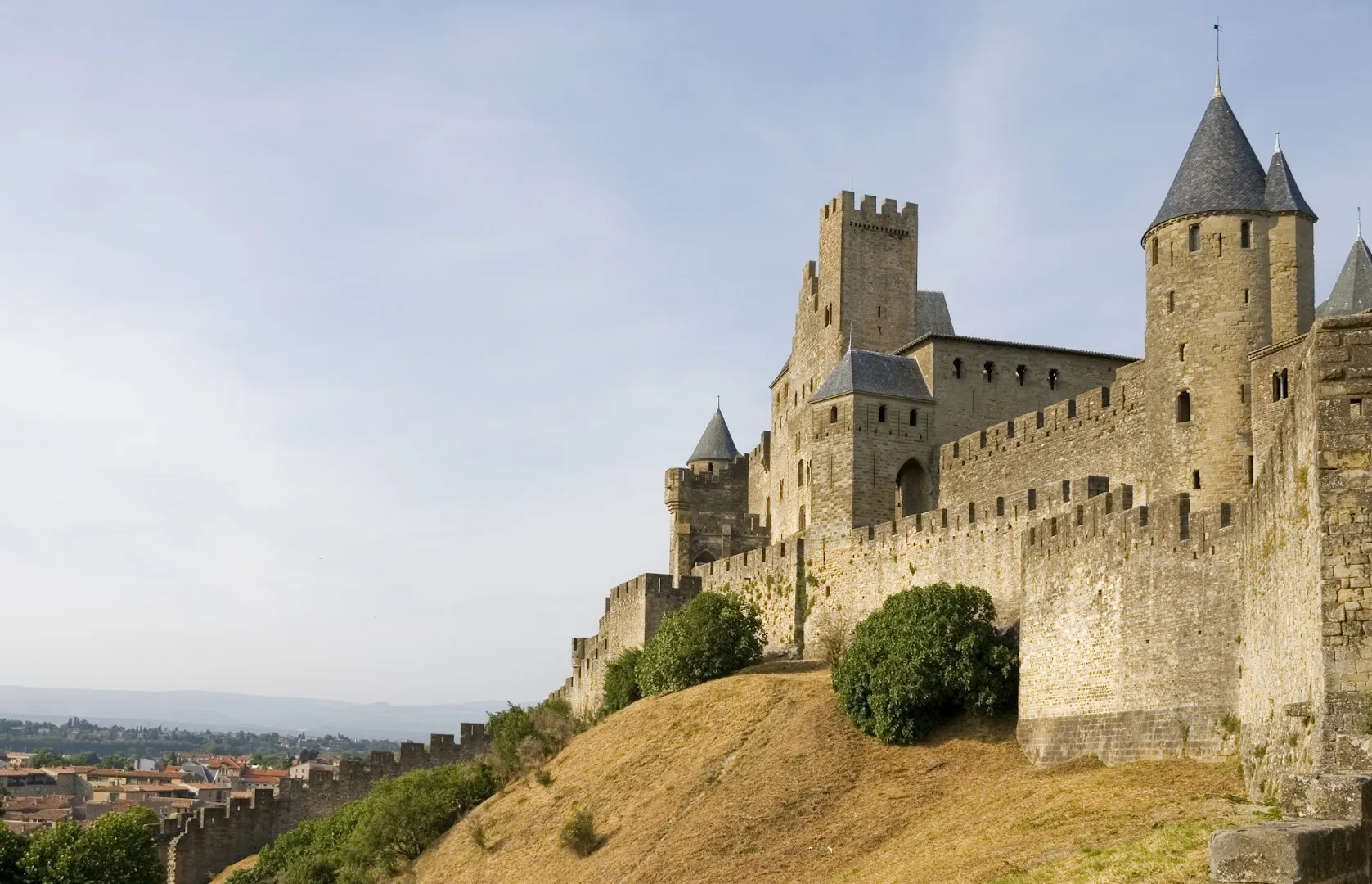 Castle Termite & Pest Control — pest control in Dallas, DALLAS County, TX