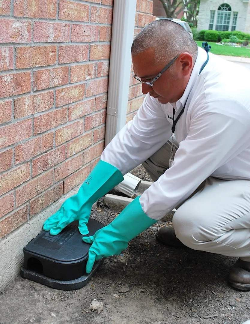 Chem-free Organic Pest & Lawn Services in Austin, TX — business photo 4