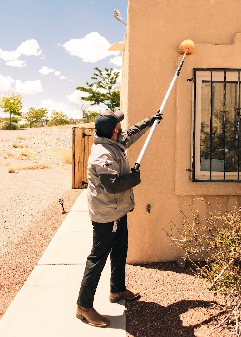 Insight Pest Solutions in El Paso, TX — business photo 5
