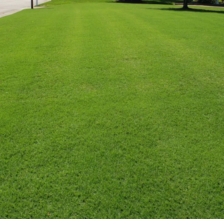 Circle C Pest & Turf Managment in Waxahachie, TX — business photo 3