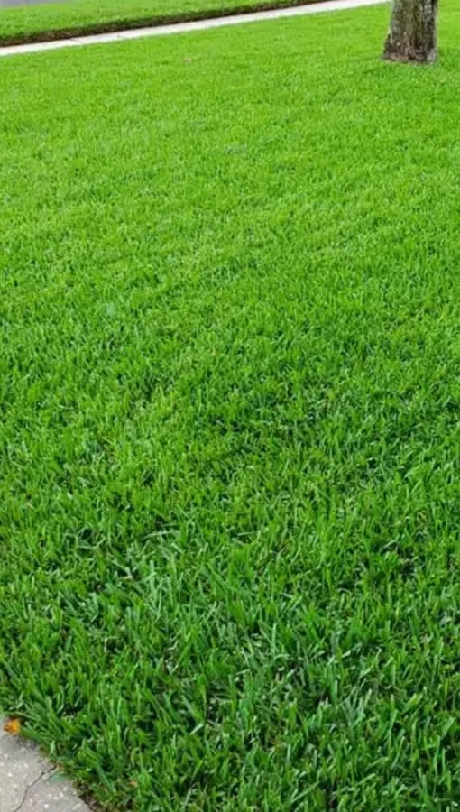Circle C Pest & Turf Managment in Waxahachie, TX — business photo 4