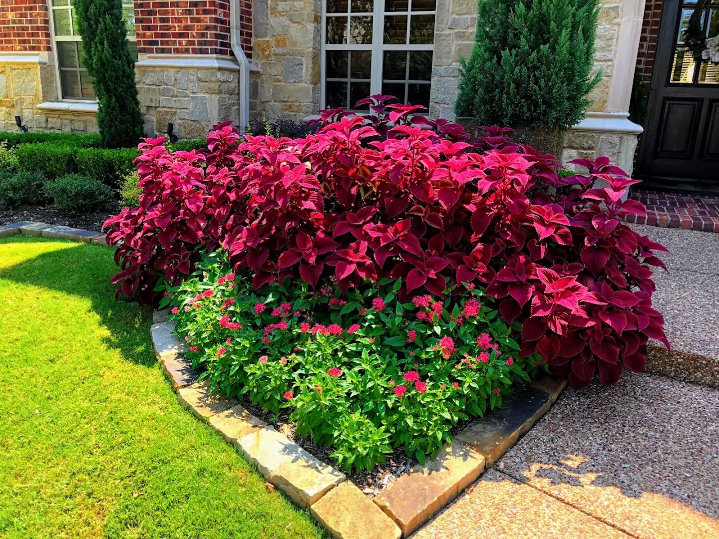 CitiTurf in McKinney, TX — business photo 6