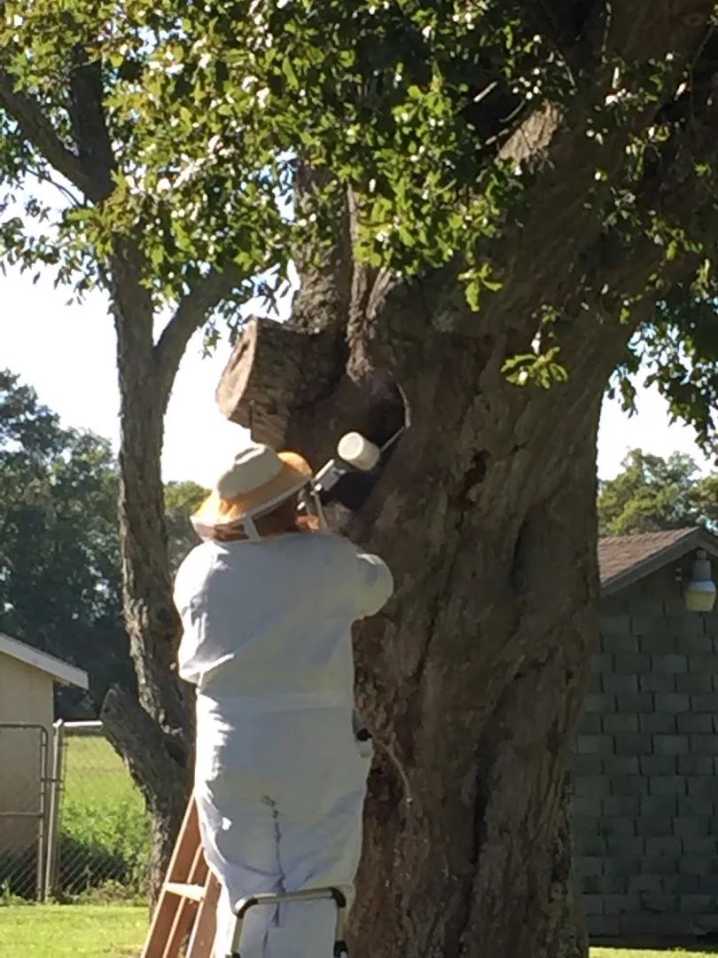Colburn's Pest Control Service, Inc. in Richmond, TX — business photo 5