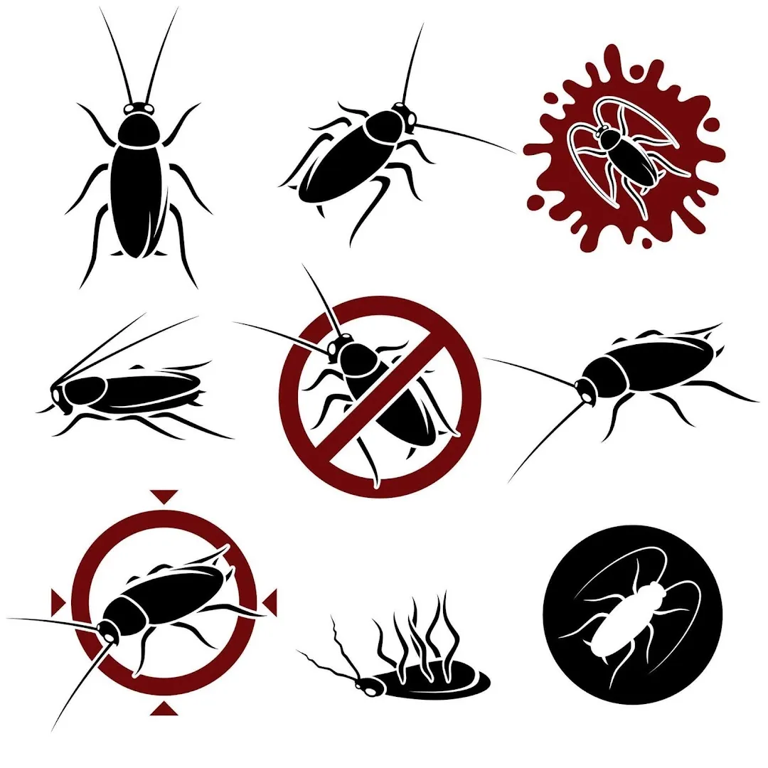 Combat Pest Control in Canyon, TX — business photo 2