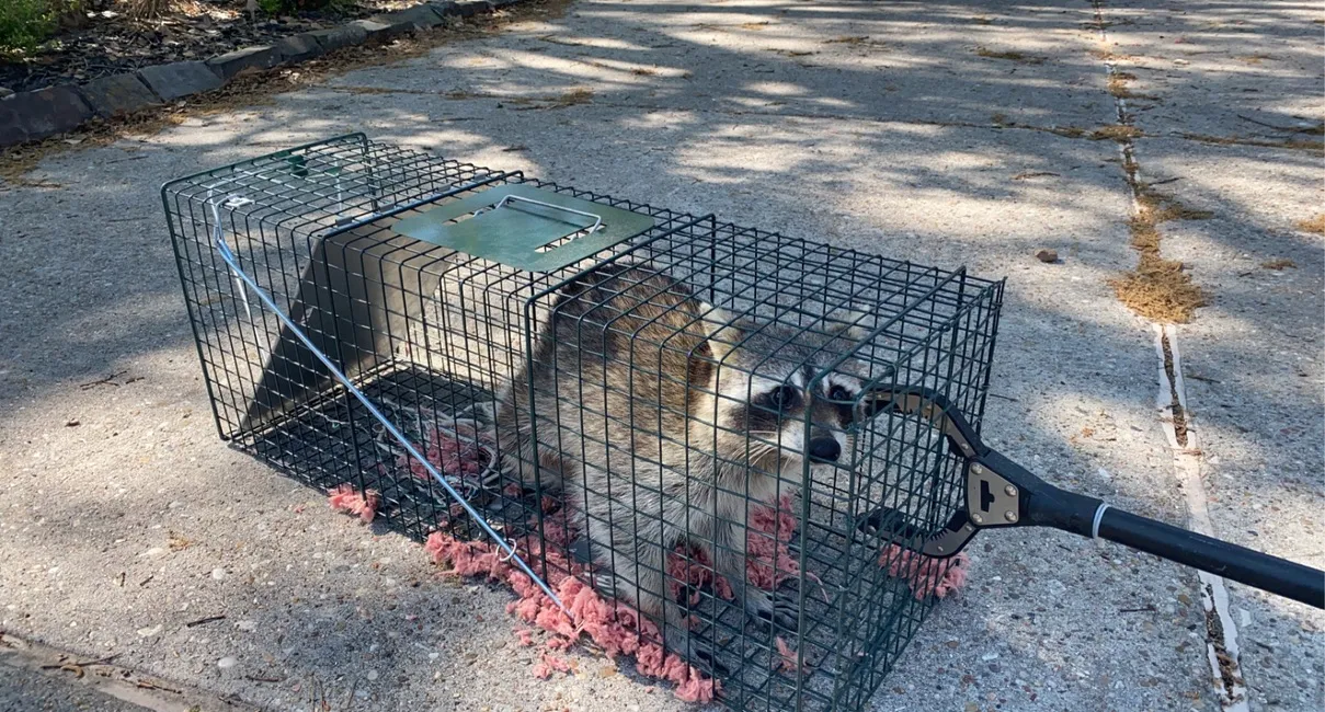 CPL Pest Control in Edinburg, TX — business photo 6