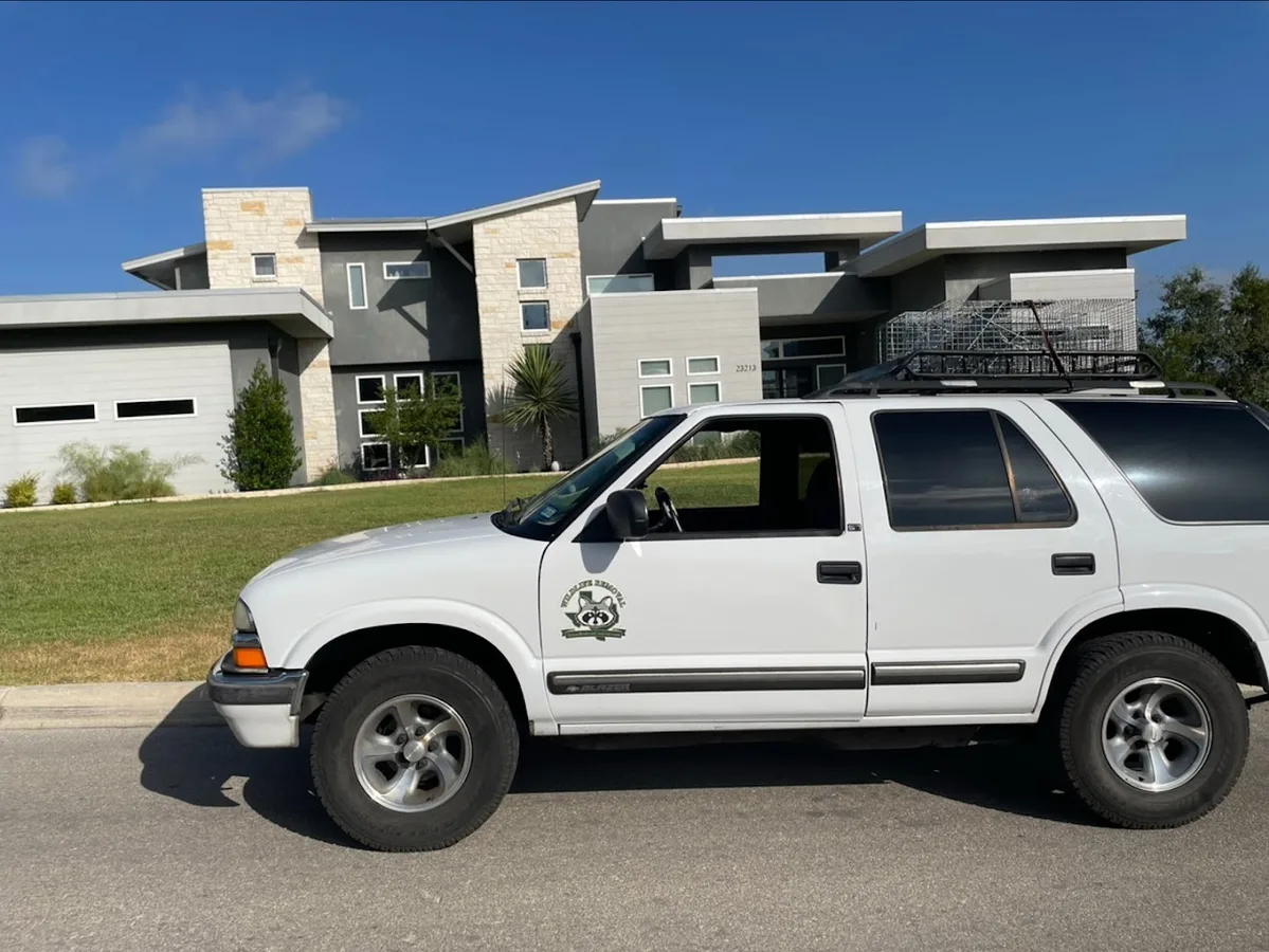 TEXAS RODENT CONTROL Wildlife Removal San Antonio in New Braunfels, TX — business photo 4